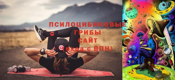спиды Касимов