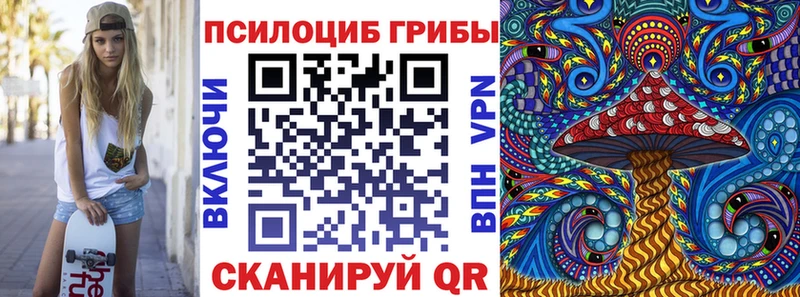 Псилоцибиновые грибы Psilocybine cubensis  Купить где  Барабинск 